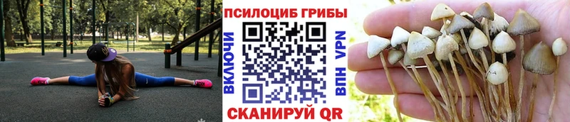 хочу   Сураж  Галлюциногенные грибы GOLDEN TEACHER 
